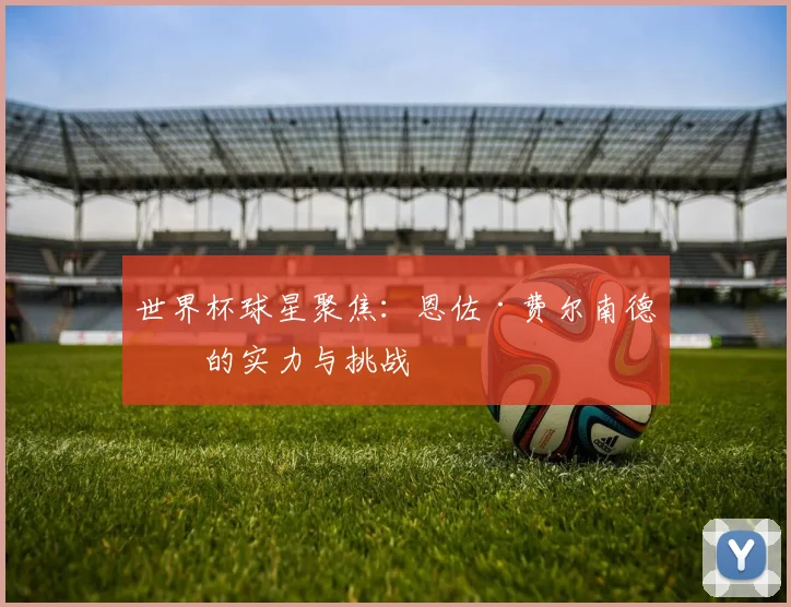 世界杯球星聚焦：恩佐·费尔南德斯的实力与挑战